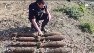 Descoperire periculoasă lângă Arad. 28 de bombe au fost găsite în apropierea unui magazin de bricolaj