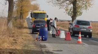 Un nou focar de pestă porcină face ravagii aproape de România