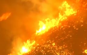 Incendiile de vegetaţie fac prăpăd în California. Cinci oameni au murit, 2000 de case au fost deja distruse