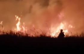 Incendiu de vegetaţie foarte aproape de Autostrada Bucureşti-Piteşti