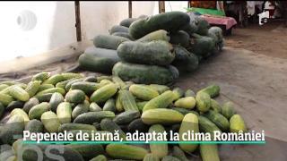 Observator de weekend