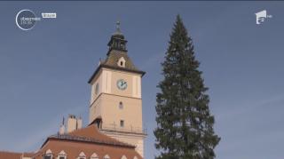 Brașovenii, dezamăgiți de bradul de Crăciun de peste 30 de metri