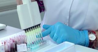 Descoperire importantă în Satu Mare. Specialiștii ar fi identificat anticorpii pestei porcine africane