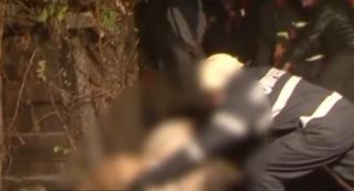 Intervenţie dificilă a pompierilor, în Mureş. Salvatorii s-au chinuit să scoată din şanţ un cal care căzuse de pe un pod