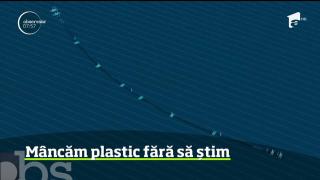 Ambalajele aruncate în oceane otrăvesc apa şi, implicit, mâncarea din farfurii