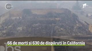 Tragedie în California! 66 de morți și 630 de dispăruți în incendii