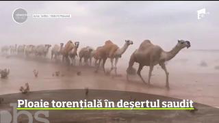 Fenomen neobişnuit în deşertul din Arabia Saudită, după o ploaie torențială