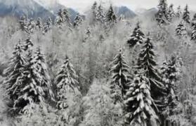 A intrat în vigoare codul galben de vreme rea. Trei sferturi de ţară va fi acoperită de zăpadă