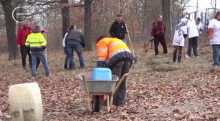 100 de stejari plantați la Deva, pentru Centenarul României