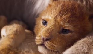 "The Lion King" revine pe marile ecrane după 25 de ani