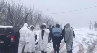 Veterinari veniţi să eutanasieze porci afectaţi de pestă, goniţi de localnicii unei comune din Olt, ca să-şi apere animalele