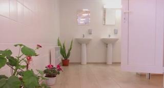 O toaletă publică din Cluj trezeşte admiraţia tuturor celor care trec pe autostrada ce leagă Aiud de Turda