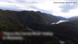 Unele din marile păduri ale României, pe cale de dispariţie din cauza tăierilor ilegale