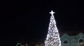 S-au aprins luminițele de Sărbători la Baia Mare. Sute de oameni s-au strâns în centrul orașului