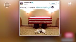 Fotografie emoţionantă, surprinsă lângă sicriul fostului preşedinte George Bush. Câinele său pare că-şi plânge stăpânul