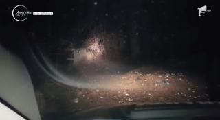 Intervenţie neobişnuită pentru jandarmii din Prahova. Oamenii au fost chemaţi pe o stradă din Buşteni să alunge o ursoaică