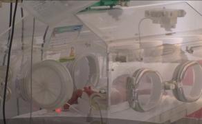 Dezacord între manageri, pe tema închiderii maternităților. "Dacă în 10 zile nu dăm drumul, Bucureştiul explodează"