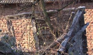 Statul a preluat casa lui Constantin Brâncuşi de la Hobiţa. Clădirea este o ruină