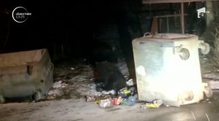 Usoaică flămândă, filmată în cartierul Cezar Petrescu din Bușteni