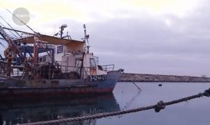 La malul Mării Negre, ducem lipsă de peşte! Din ce cauză a dispărut o întreagă industrie