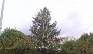 Bradul de Crăciun din Lugoj, urmărit de ghinion. Pomul a ajuns să fie împodobit din mila trecătorilor