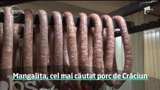 Porcul din rasa Mangaliţa, căutat pentru delicatese