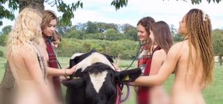 Studenţi la Medicină Veterinară din Marea Britanie, poze nud în fermă cu scop caritabil