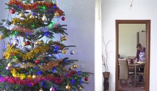 Unul din doi români va petrece Crăciunul acasă. Bugetul, 700 de lei de persoană