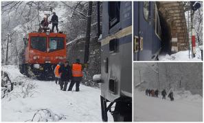 Blocați 24 de ore în tren. Mii de oameni au înghețat în trenurile oprite în câmp din cauza copacilor doborâți de ninsori