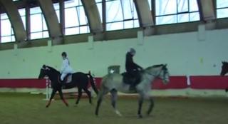 Demonstraţii ecvestre inedite la Clubul Hipic din Târgu Mureş (Video)