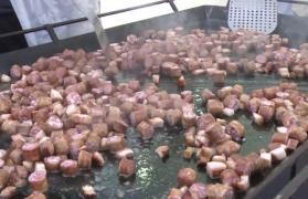 15 bucătari au încins ceaunele și plitele la Sibiu, la pomana porcului