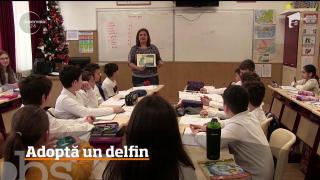 O asociaţie de mediu din Constanţa dă posibilitatea oricărui român să adopte un delfin