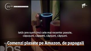 Un papagal vorbitor a învățat să comande produse pe Internet, spre disperarea stăpânei