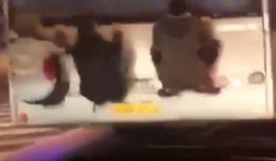 Trei tineri din Baia Mare și-au riscat viața, pentru a scăpa de plata biletului de călătorie