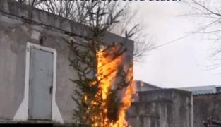 Experiment: Un brad arde complet în doar 15 secunde