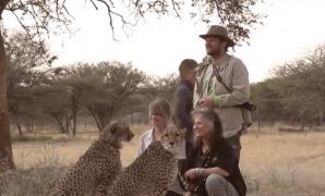 Două românce din Cluj îngrijesc gheparzi în Somalia