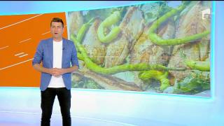 Tips & Trips. Ce poţi să vizitezi în Istanbul