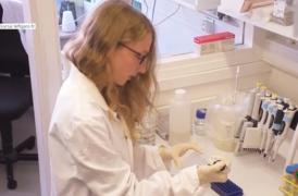 Cercetătorii francezi, descoperire majoră în lupta cu virusul HIV