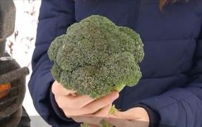 O tânără studentă din Dolj a reuşit să dezvolte o afacere cu broccoli la noi în ţară