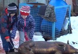 Un sat de munte din Ţara Codrului, judeţul Satu Mare, se umple de Crăciun