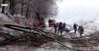 Zeci de oameni blocaţi, pe o şosea din Maramureş, după ce maşinile au rămas înzăpezite