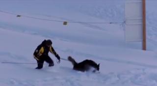 Miracol în Franţa, în Munţii Alpi. Un băiat de 12 ani a supravieţuit, aproape o oră îngropat în zăpadă, după o avalanşă