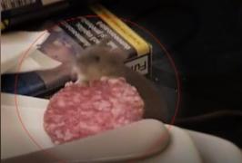 Botez cu invitat-surpriză în Dolj. Un șoarece a urcat pe masa lăutarilor