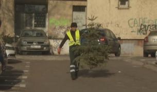 Aproape 1 milion de brazi de sărbători, aruncați la gunoi de români