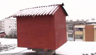 Situaţie inedită în Craiova. Un bărbat a fost vizitat de poliţişti, după ce a construit o cuşcă pentru porumbei pe bloc