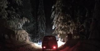 Imagini surprinzătoare pe o şosea din Maramureş. O mașină a fost la un pas să fie strivită de un brad