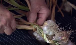 Ministerul Agriculturii vrea ca românii să mănânce doar usturoi autohton