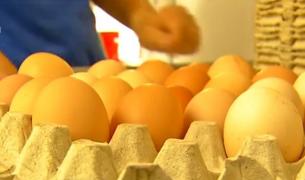 Alertă în România! O sută de mii de ouă contaminate cu Fipronil ar fi ajuns pe mesele românilor