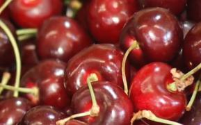 Cireşe mai scumpe decât gramul de aur. O singură cireaşă poate costa cât patru pâini