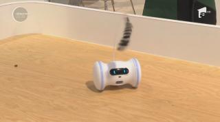 Roboţelul Varram, cel mai bun prieten al animalelor de companie